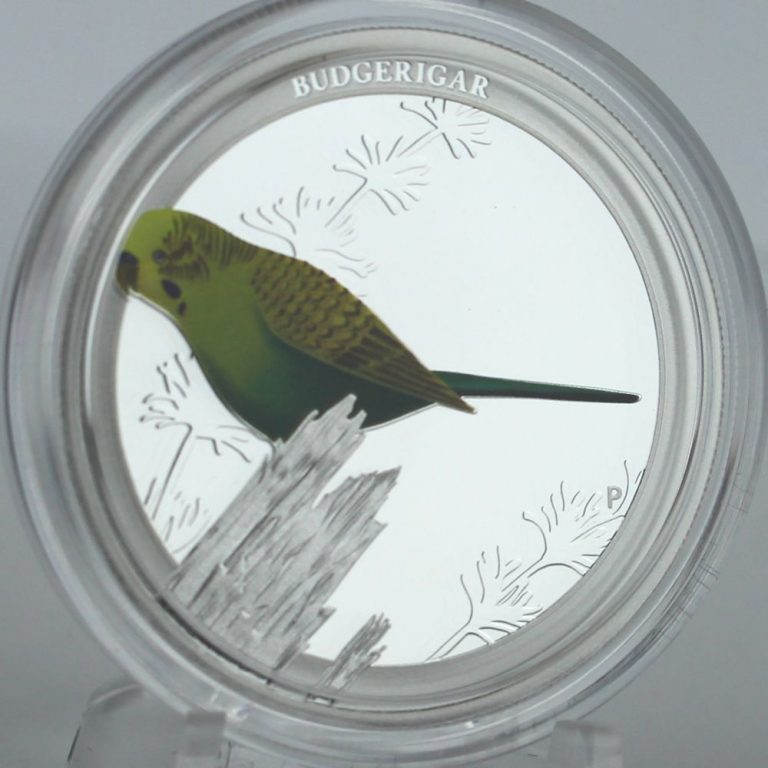 Small Australian Parakeet