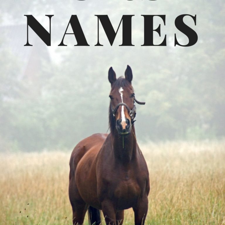 Star Stable Horse Names