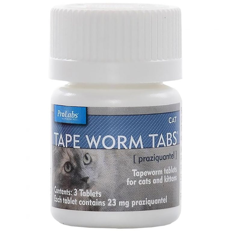 Tapeworm Treatment For Cats