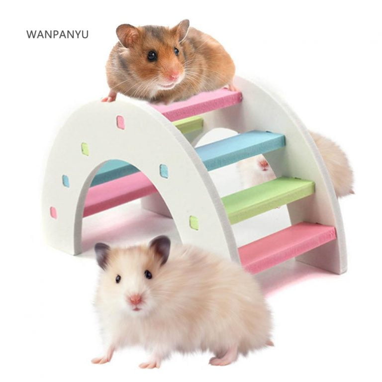 Toys For Hamsters