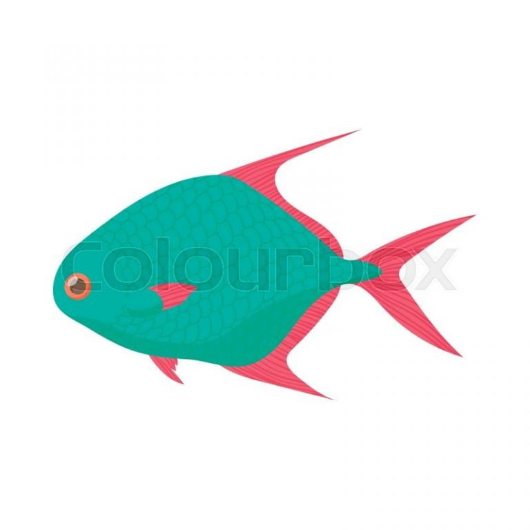 Uk Tropical Fish