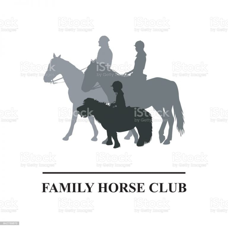 Ludlow Pony Club