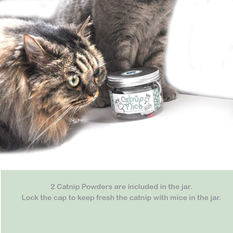 Vitamins For Cats