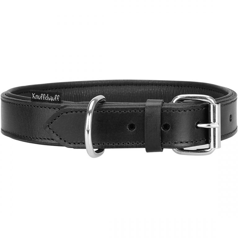 Leather Puppy Collar