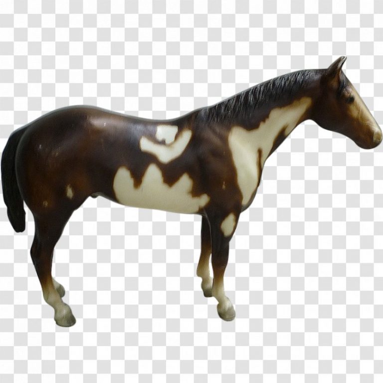 Paint-Horse
