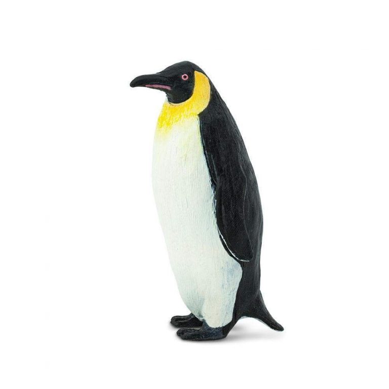 Pet Penguin Uk