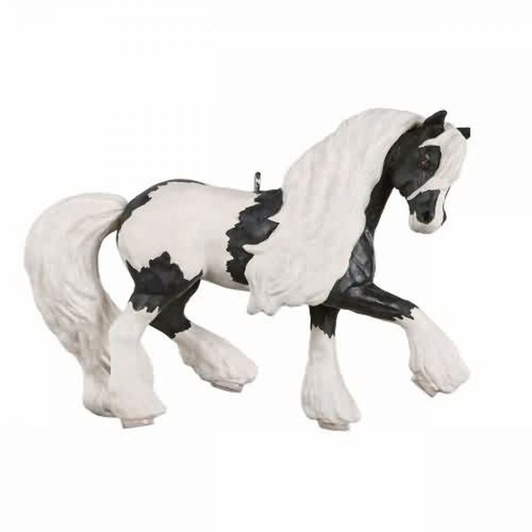 Shire Horse Riding