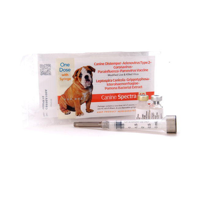 How Much Is Kennel Cough Vaccine