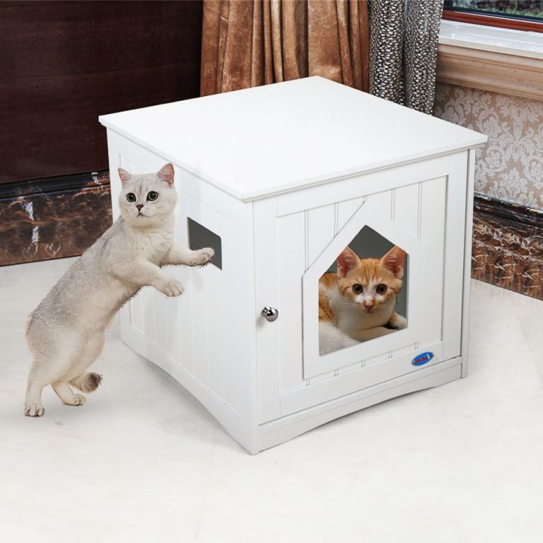 Extra Large Litter Box