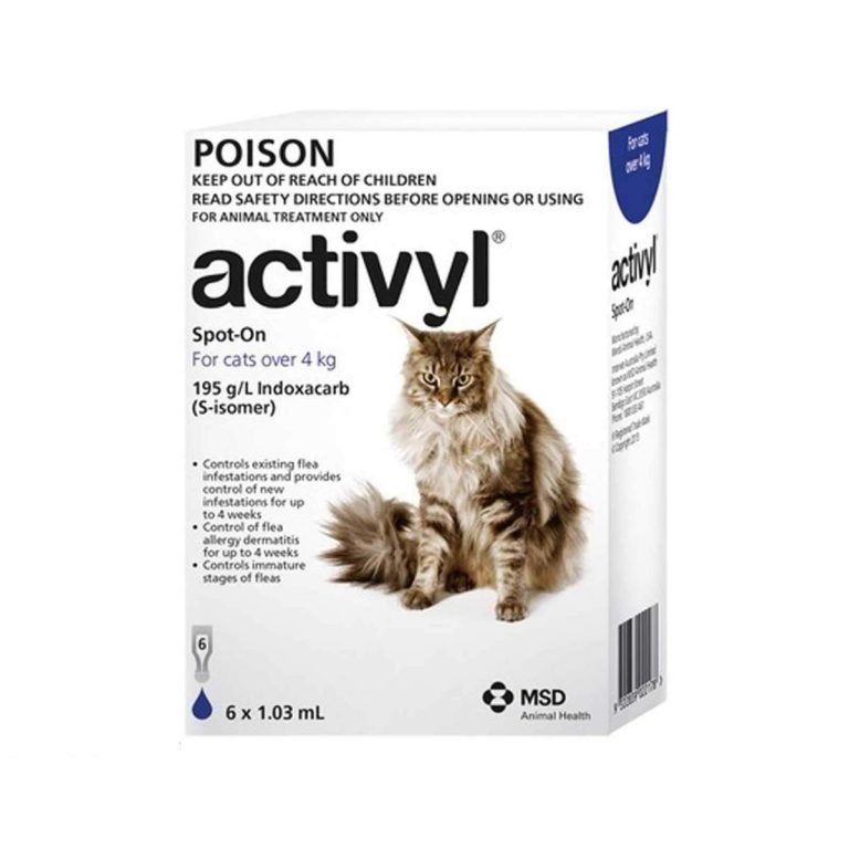 Activyl For Cats