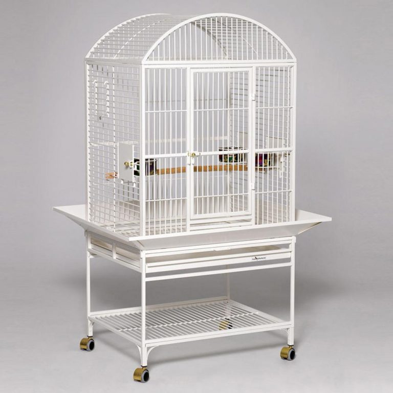 Cage And Aviary Bird Suppliers