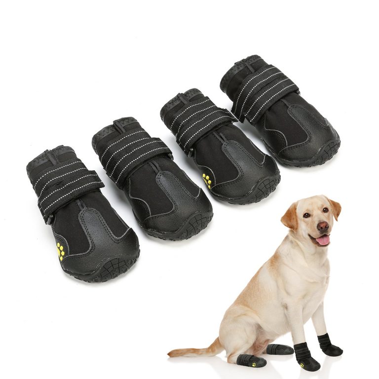 Dog Boot For Injured Paw