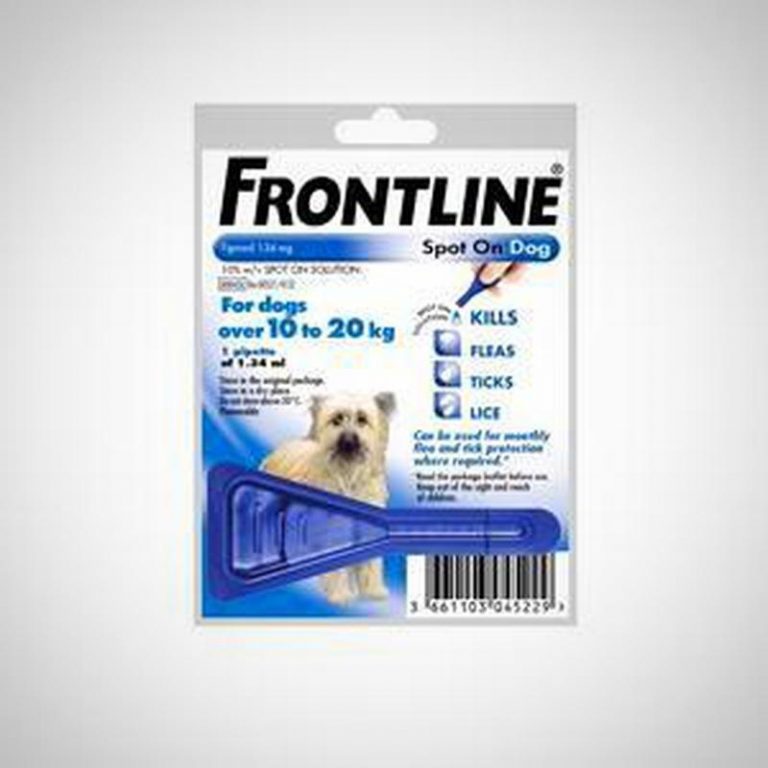 Frontline Spot On Cats