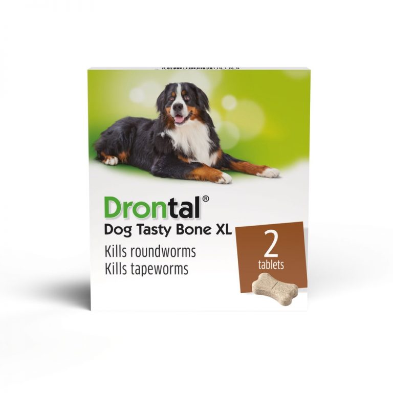 Drontal Worming Tablets For Cats