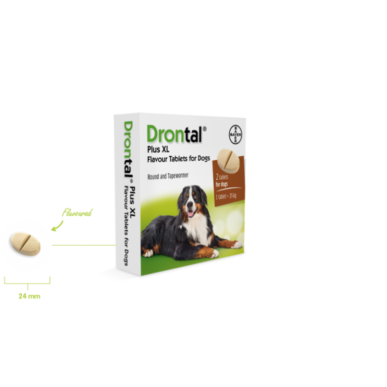 Drontal Plus Dog